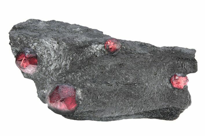 Plate of Six Red Embers Garnets in Graphite - Massachusetts #301120